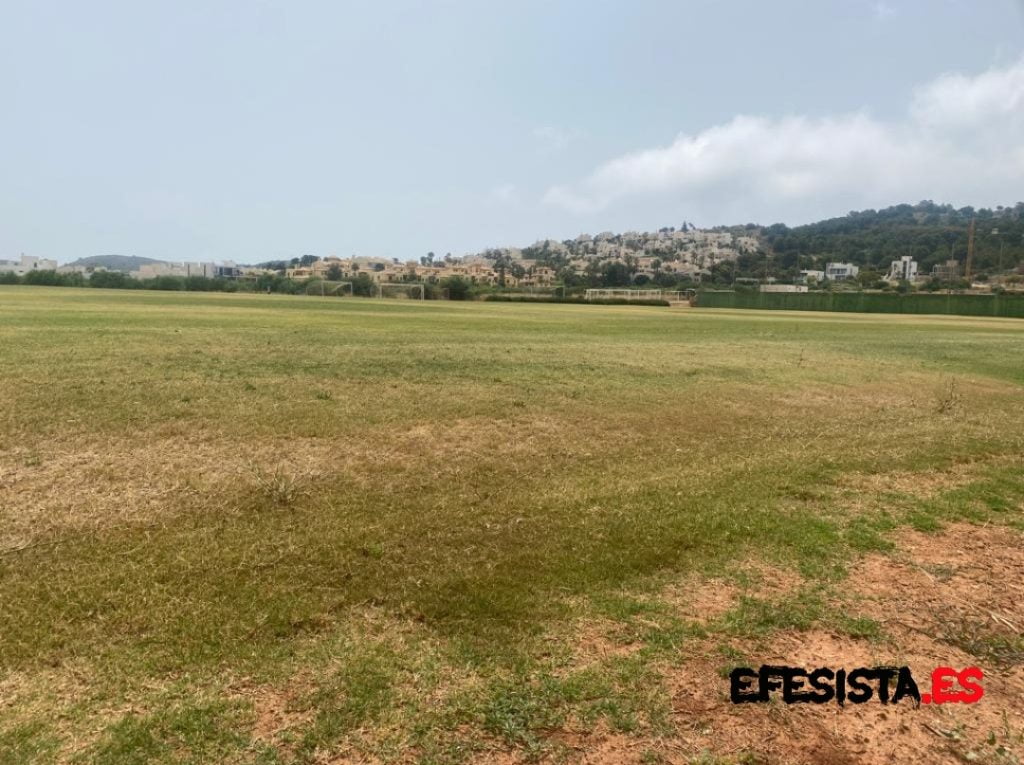 Estado de uno de los campos la semana pasada | Navalo (Efesista)
